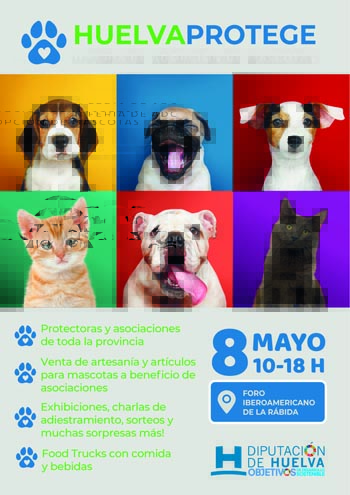 2ª Feria Provincial de adopción de animales ‘Huelva protege’